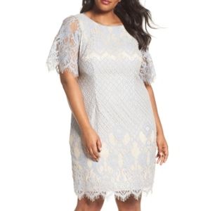 18w Adrianna Papell Bell Sleeve Georgia Lace Sheath Dress In Sky/ Cadmium